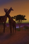 giraffes-sm1
